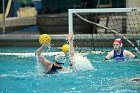 WWPolo vs CC  Wheaton College Women’s Water Polo compete in their sports inaugural match vs Connecticut College. - Photo By: KEITH NORDSTROM : Wheaton, water polo, inaugural